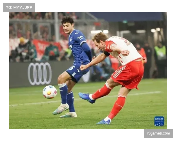 霍芬海姆球员在主场谢场,告别确定降级的赛季 霍芬海姆球员在主场谢场,告别确定降级的赛季